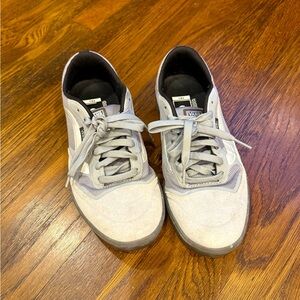 Vans Men's Ave Pro Light Gray Sneakers